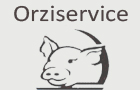 ORZISERVICE - ORZINUOVI, BS