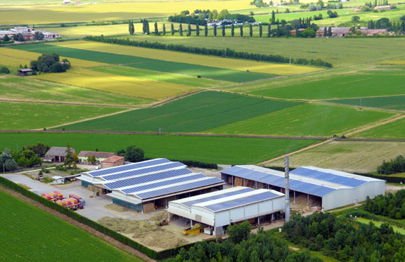 agricoltura biologica, conduzione terreni, Ferrara